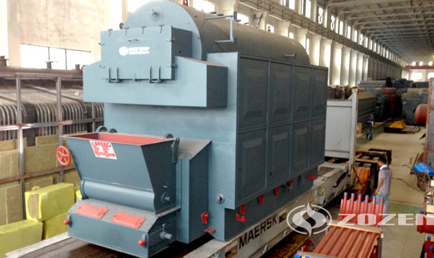 10 tph DZL biomass fired boiler for heating